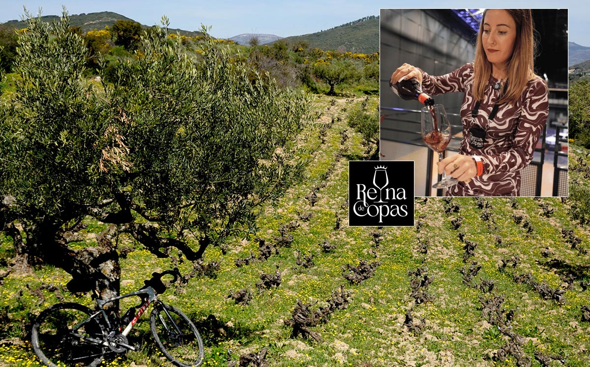 Reyna-de-Copas-Experience