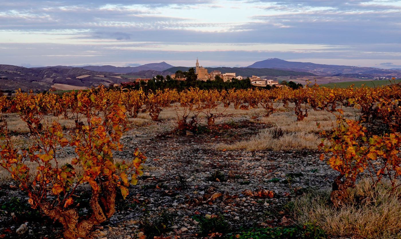 San Juan de los Ramos ruinas