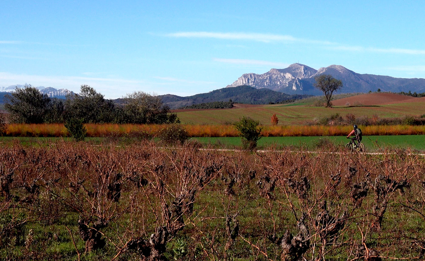 Terroir-Valdeherreros