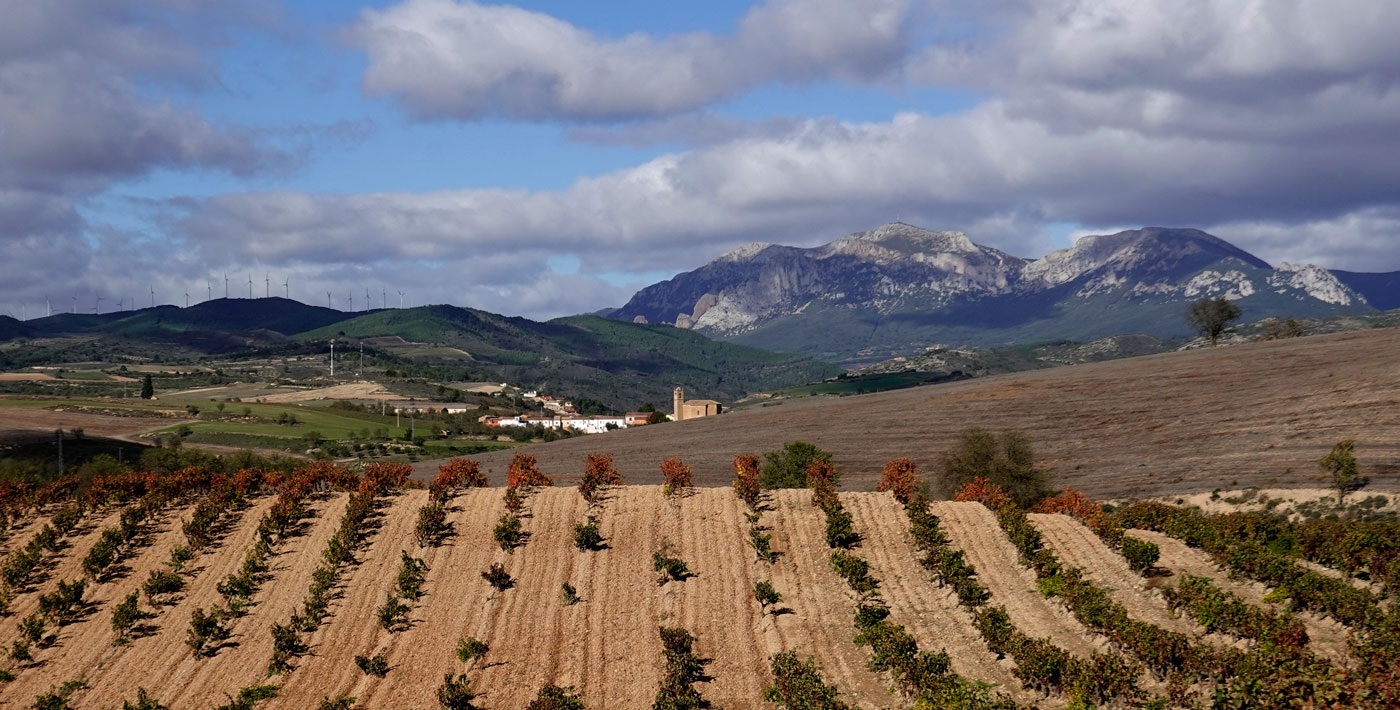 Terroir La Pared Sansol