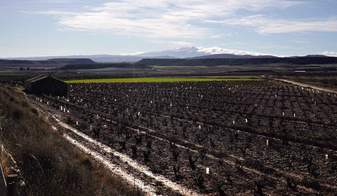 Moncayo desde Yerga
