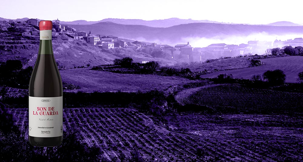 botella Amatria-Son-de-la-Guarda