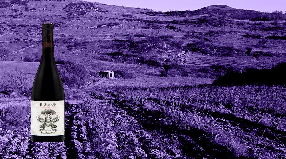botella Gonzalo-Celayeta-El-Duende
