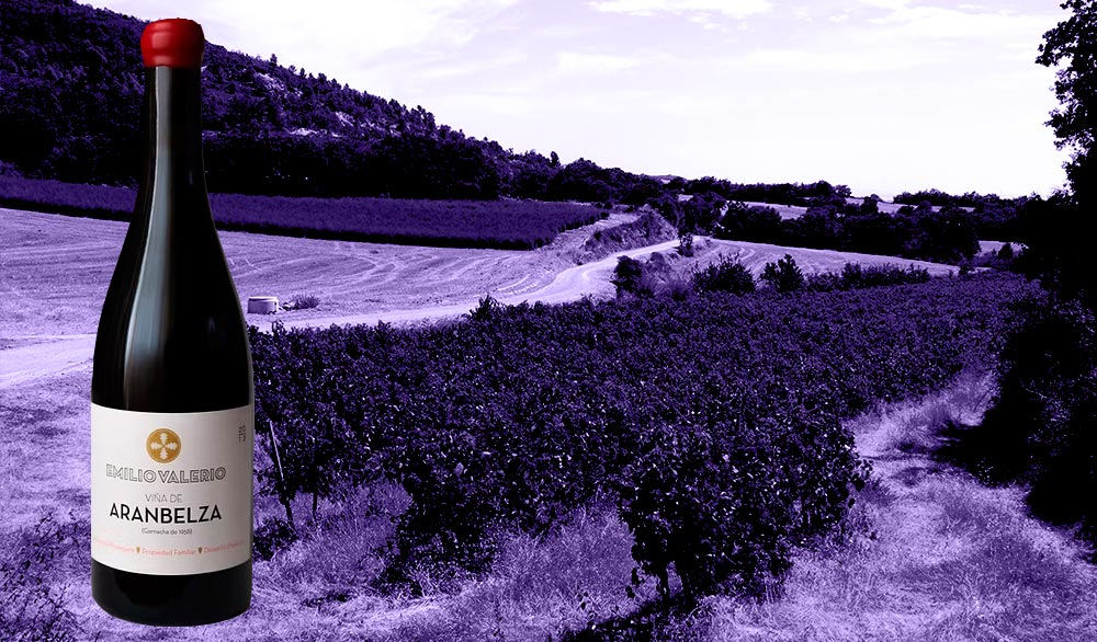 botella de Aranbeltza