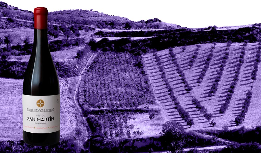 botella de San-Martin de Emilio-Valerio