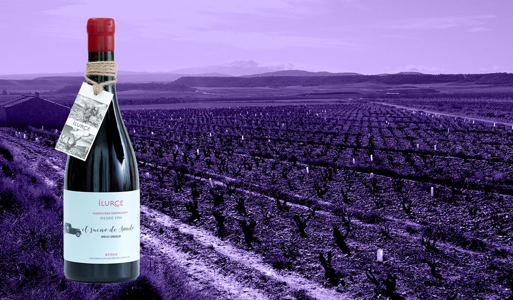 botella El Sueño de Amado