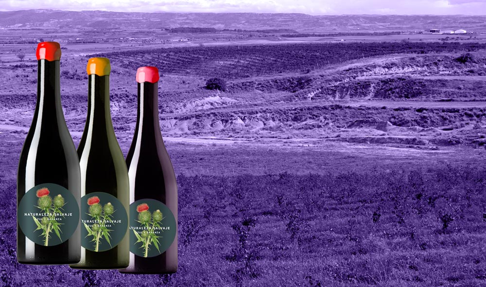 botellas Naturaleza-Salvaje-wine