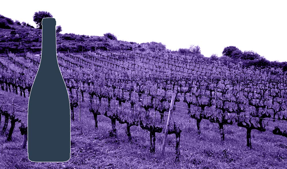 Imagen de vino genérico