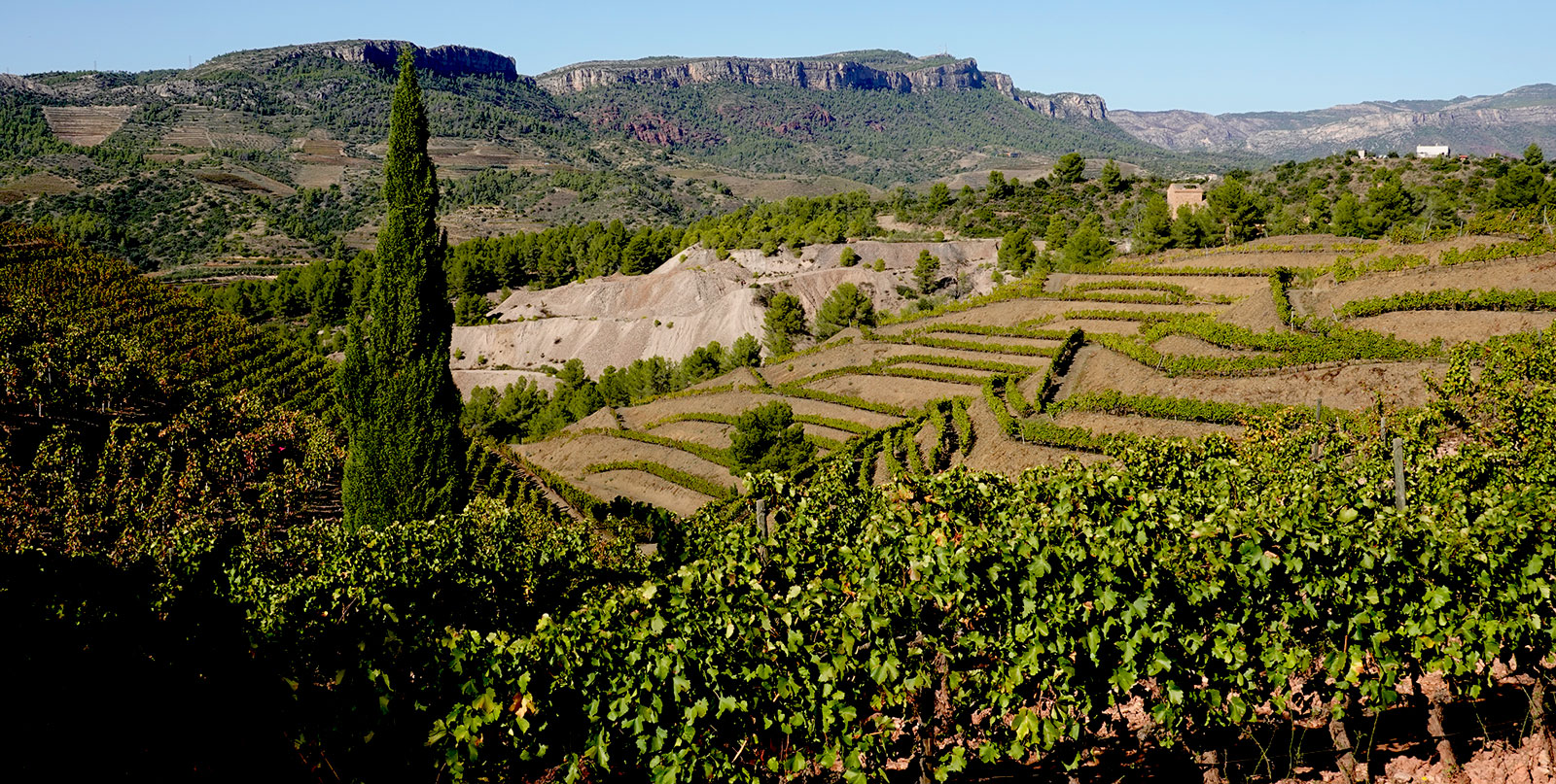 Priorat sur
