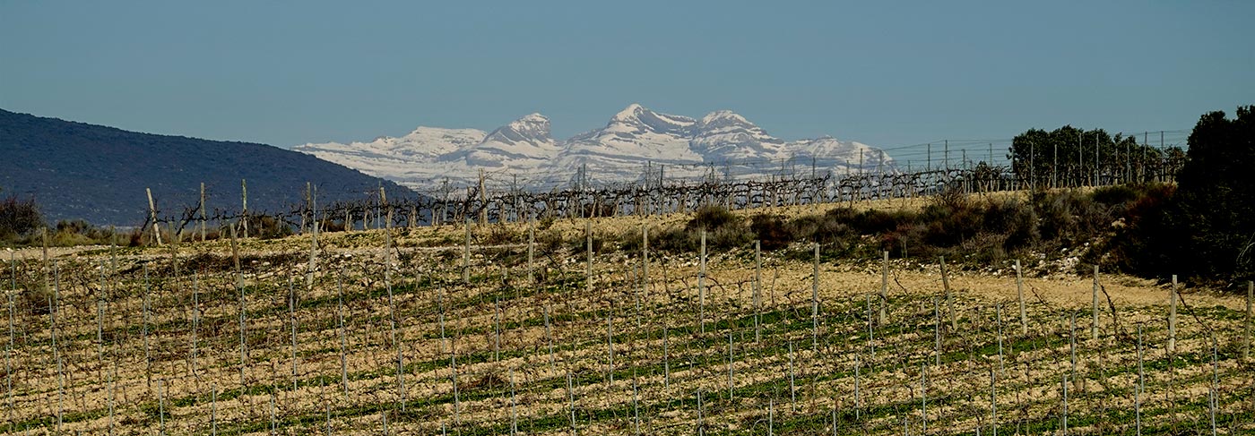 Pirineo desde Somontano