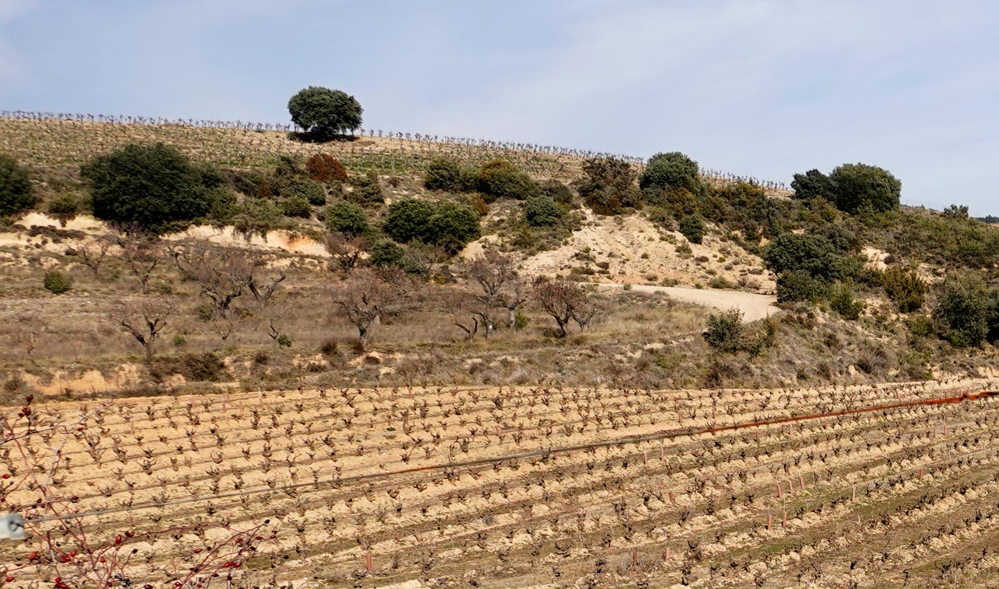 Secastilla