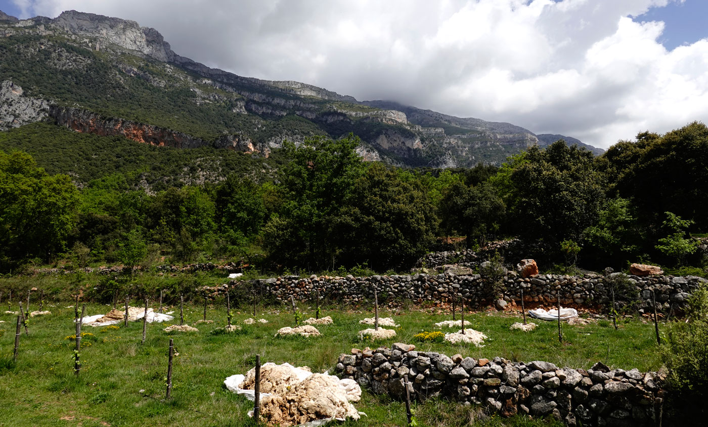 Valle de Bielsa