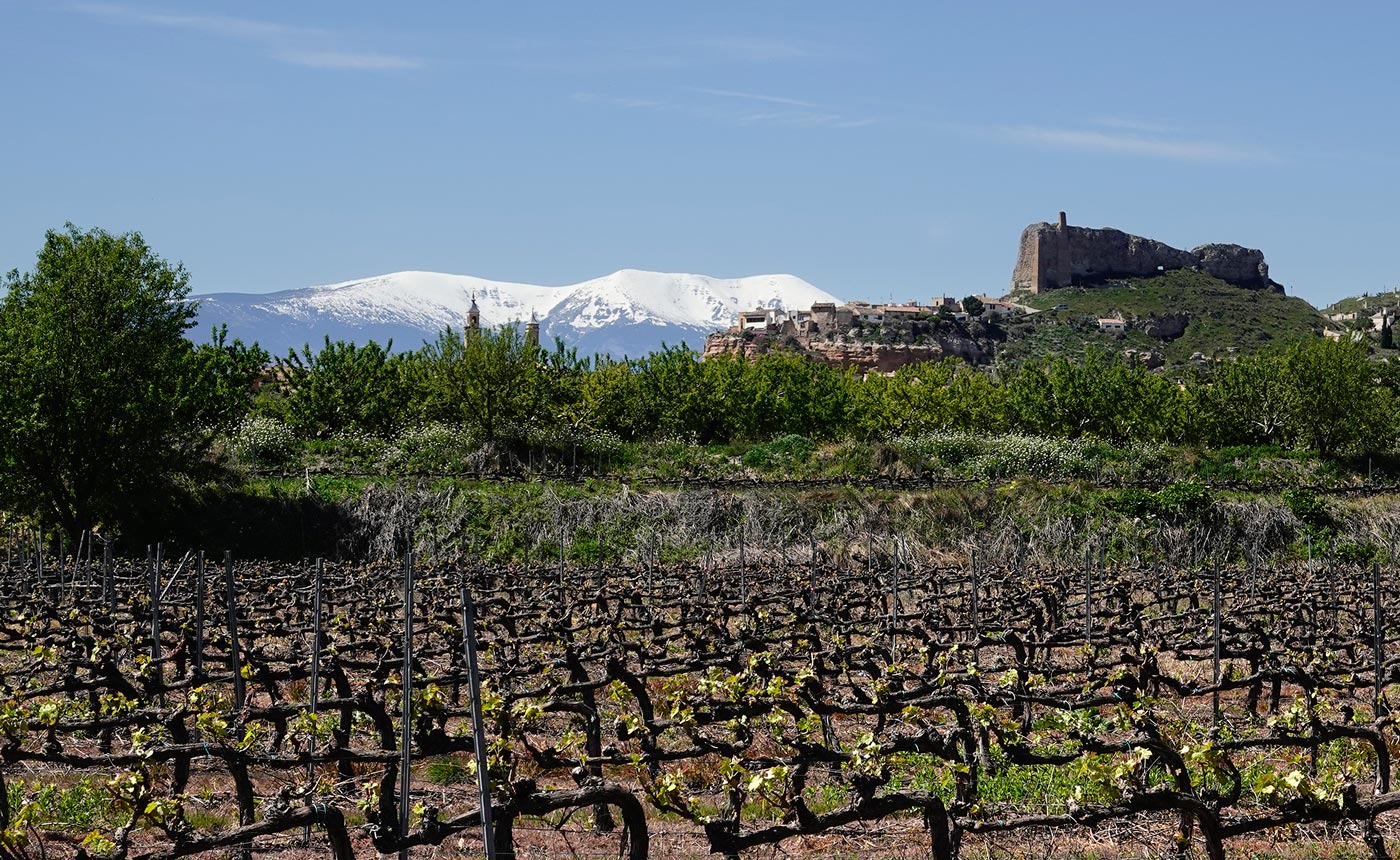 Borja-y-Moncayo