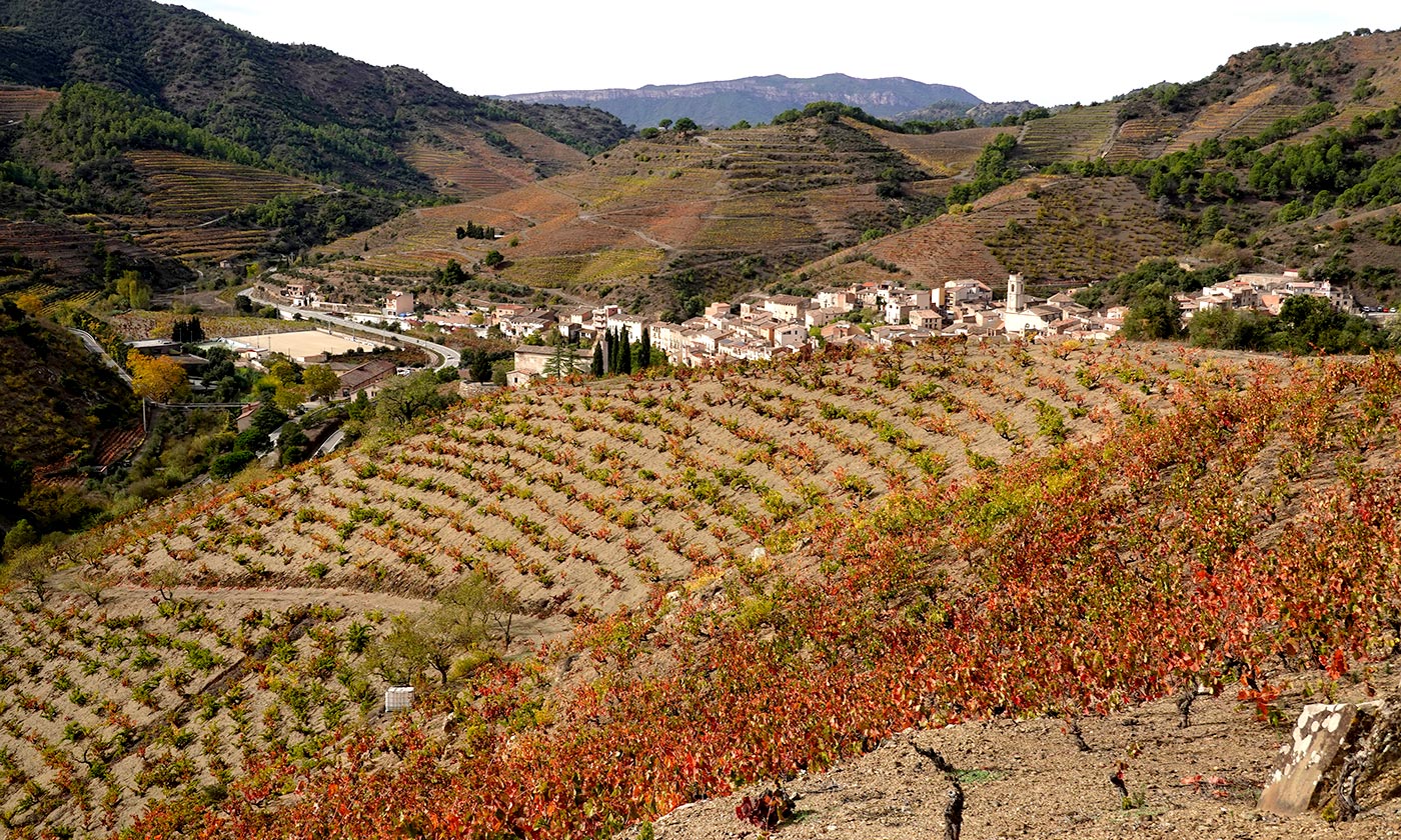 Vinyas-porrera