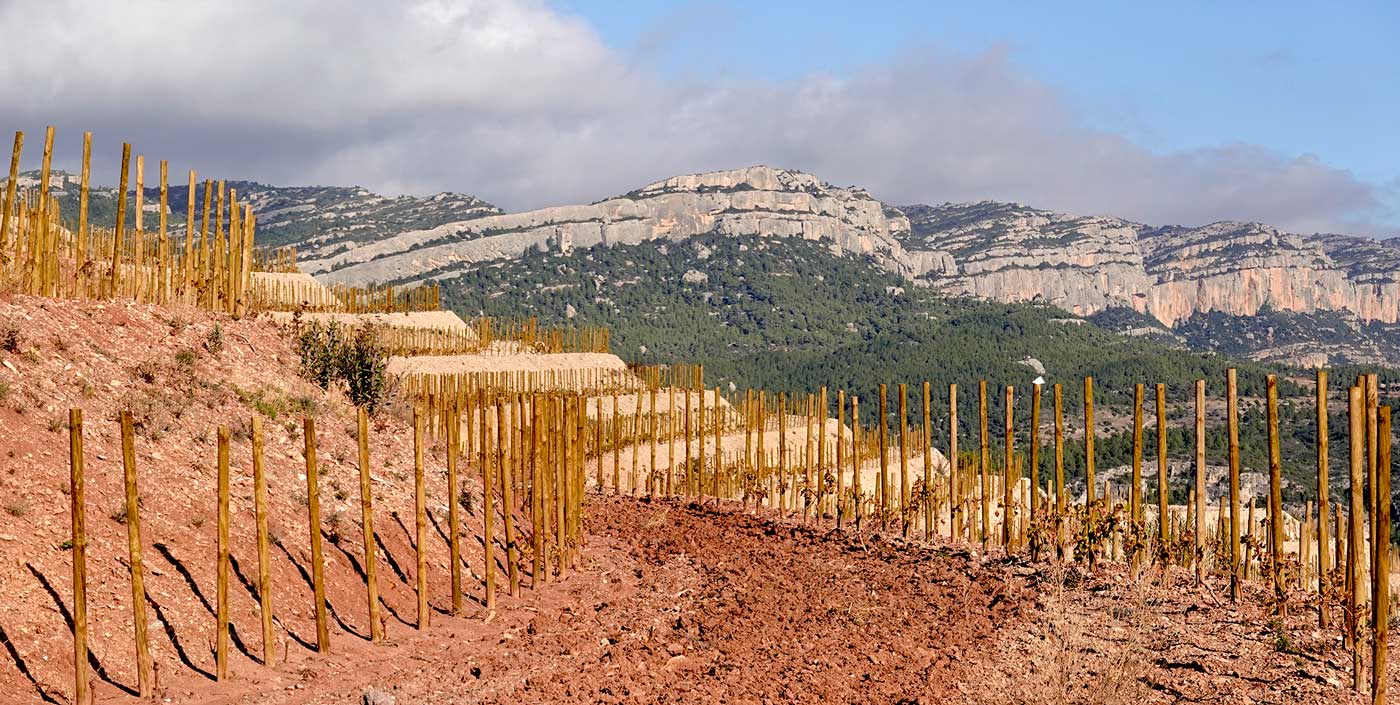 Terroir-Priorat-3