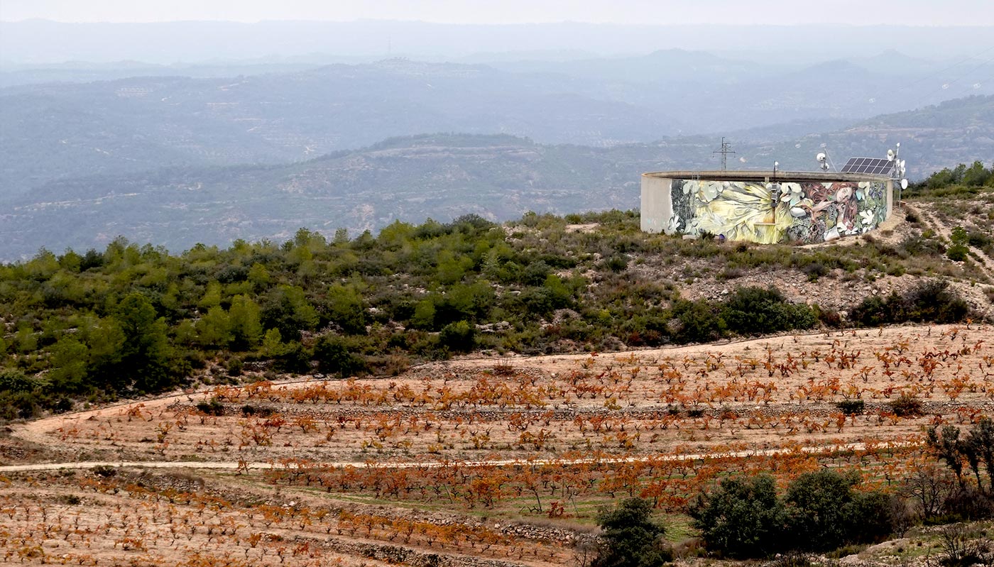 Terroir-Montsant-1