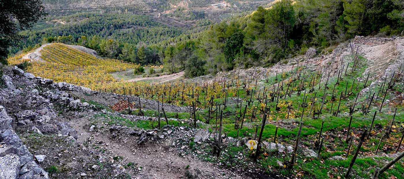 Terroir-Montsant-1