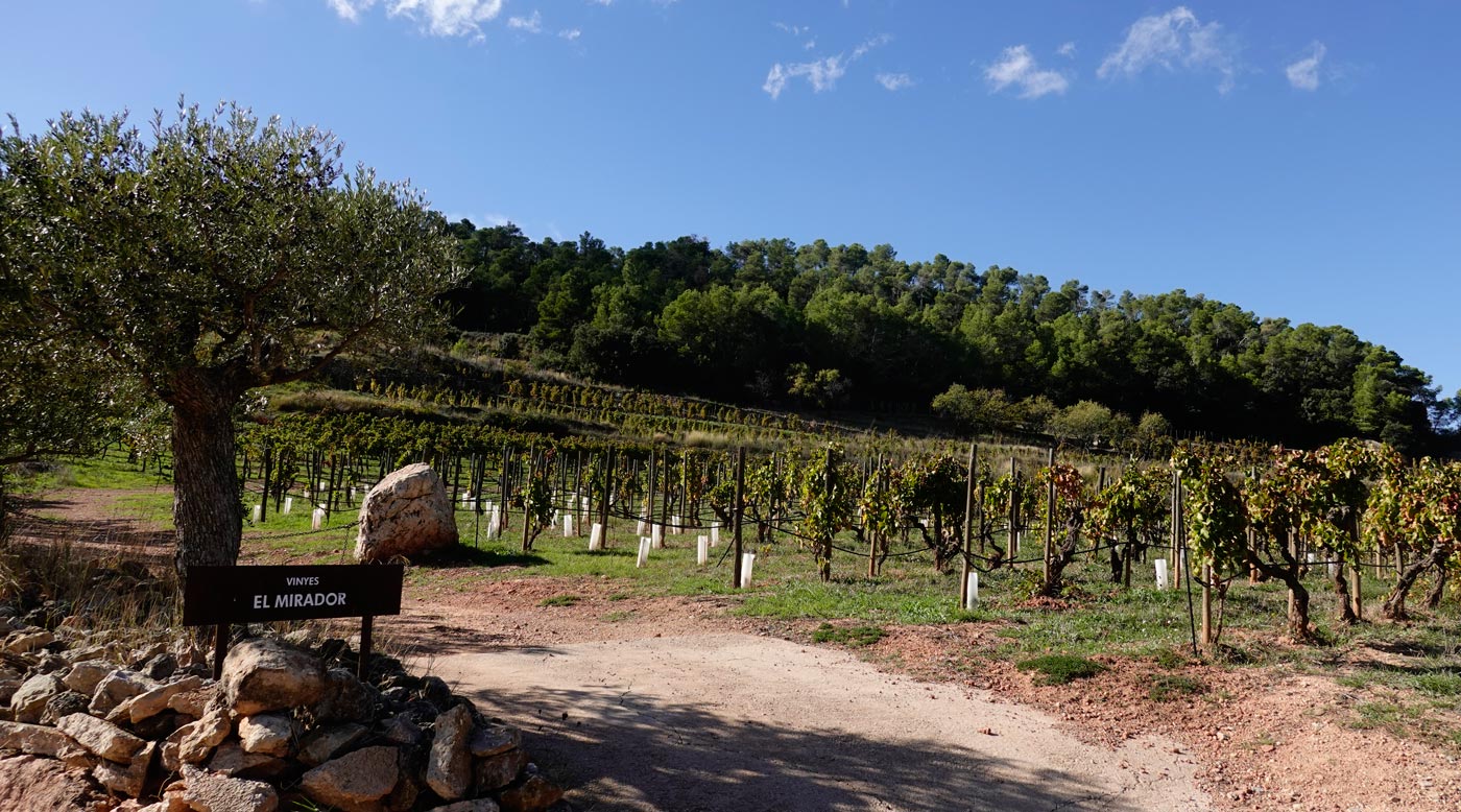 Terroir-Montsant-4