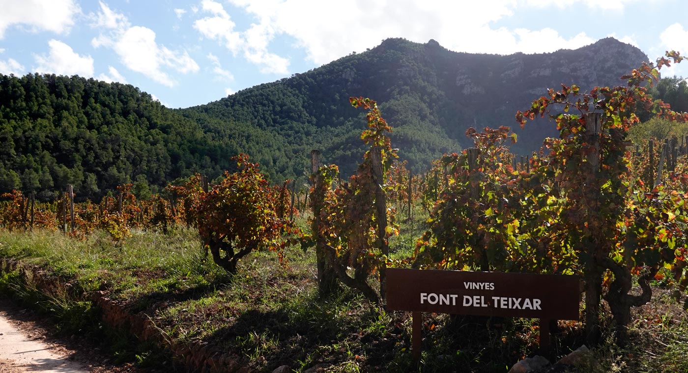 Terroir-Montsant-4