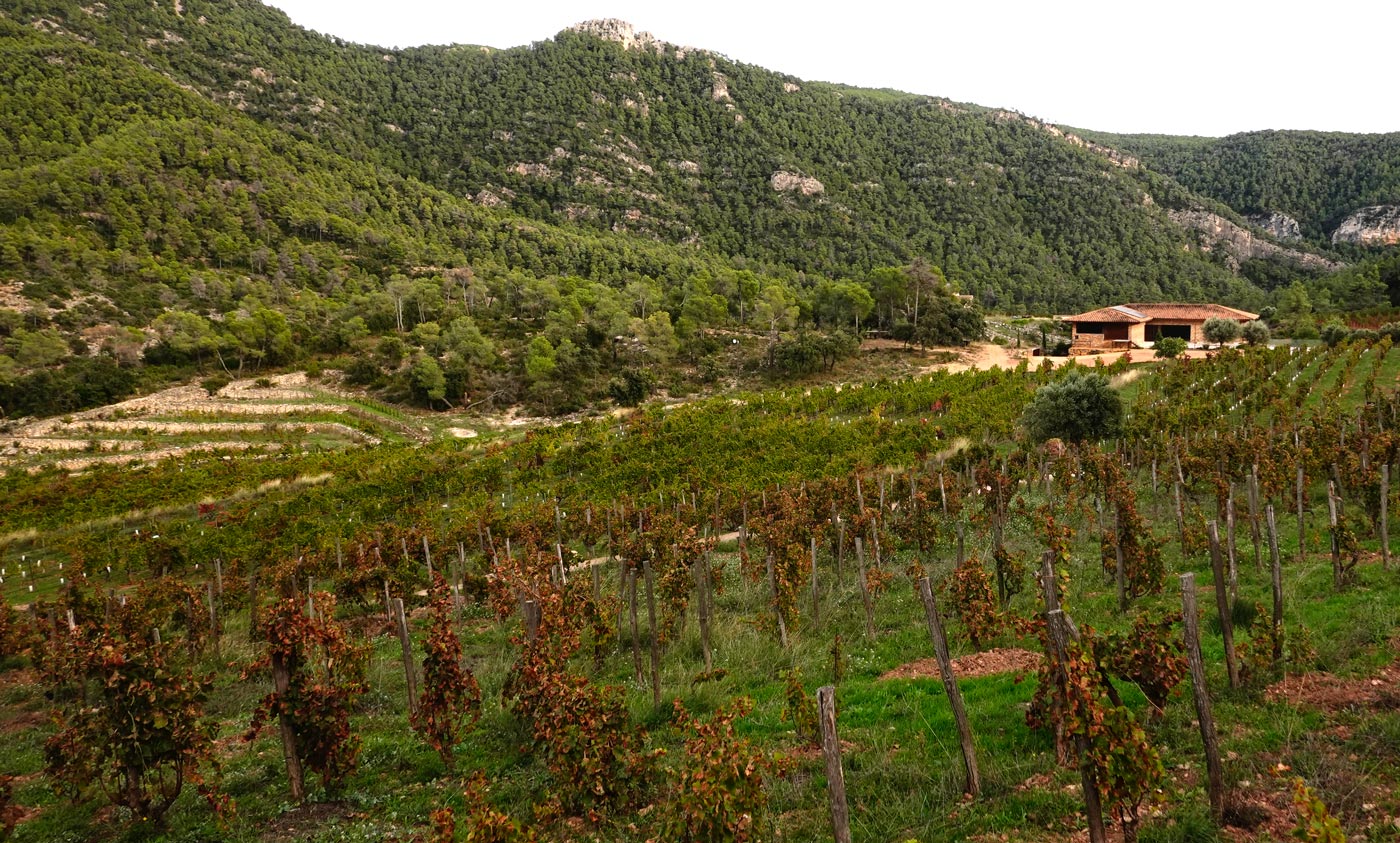 Terroir-Montsant-4