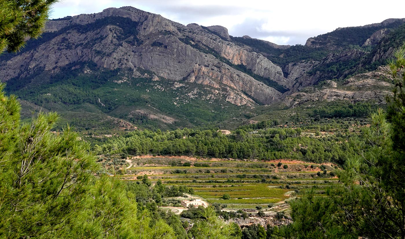 Terroir-