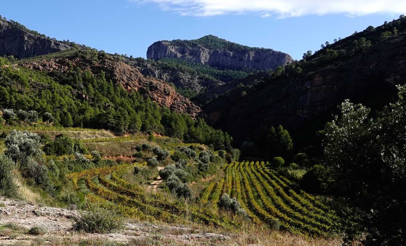 Terroir-