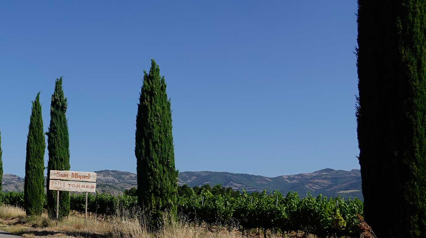 Terroir-6