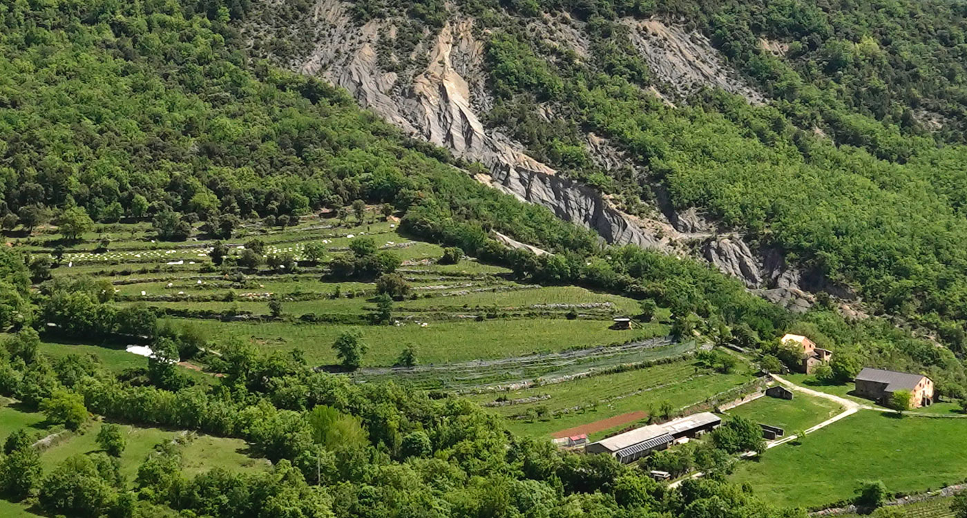 Terroir-Moliniás