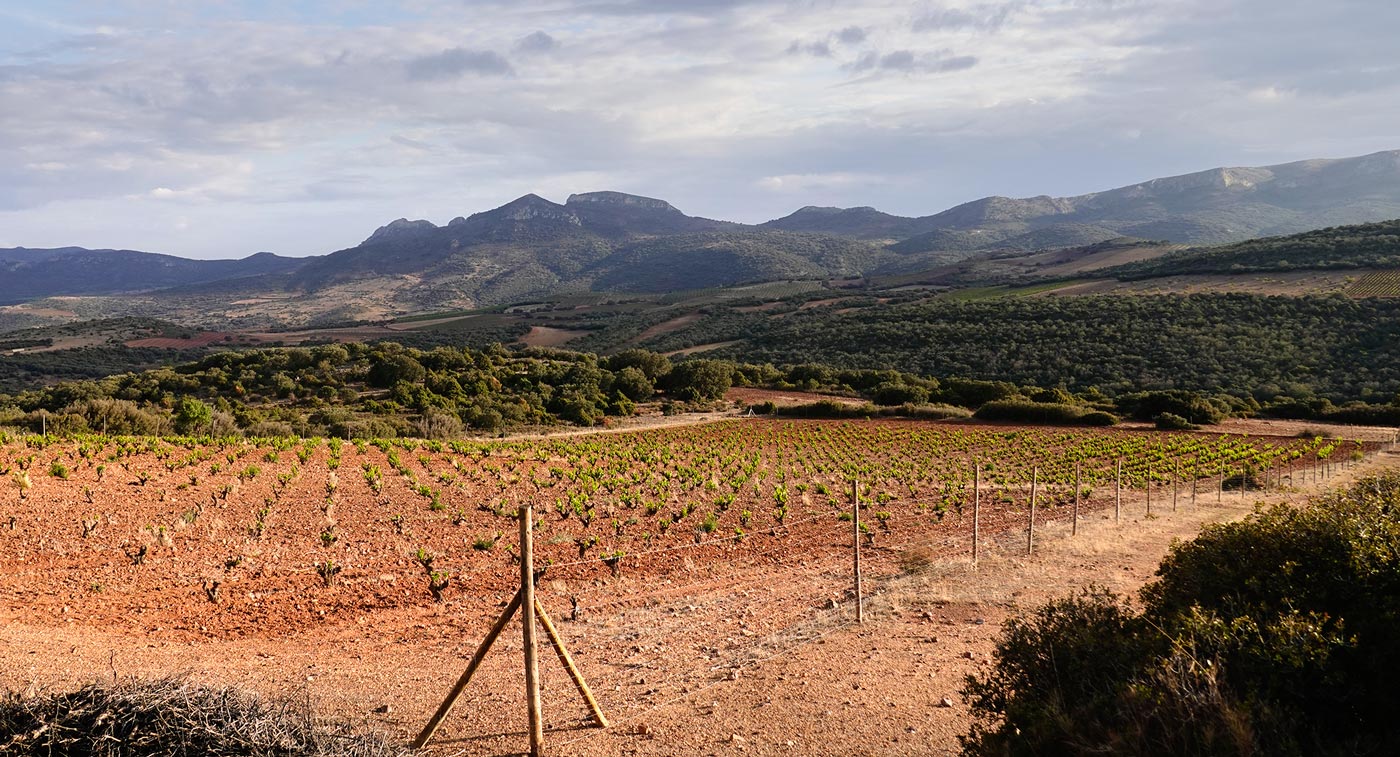Terroir-Las-Paradas