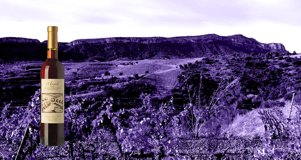 Vino-Arrels-Ranci-30
