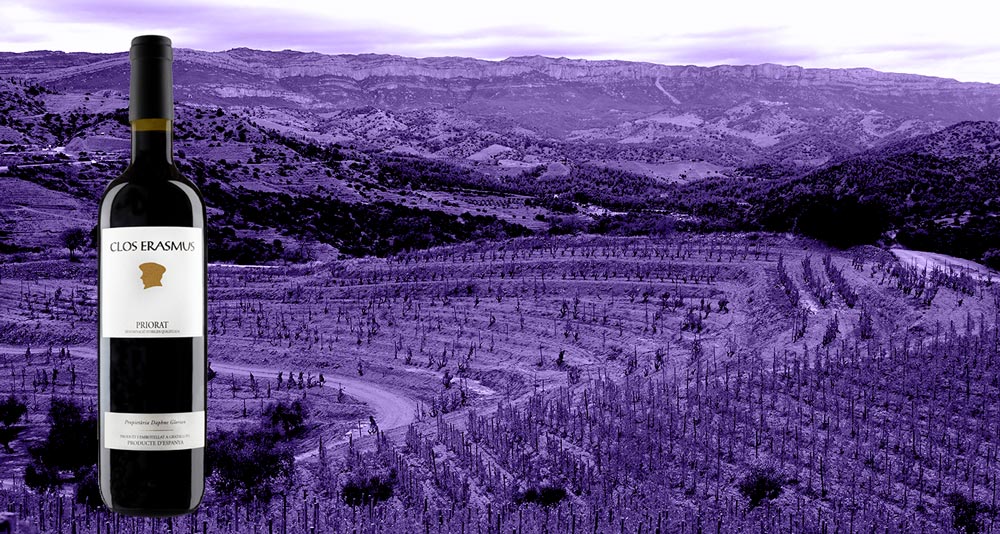 Vino-Clos-Erasmus