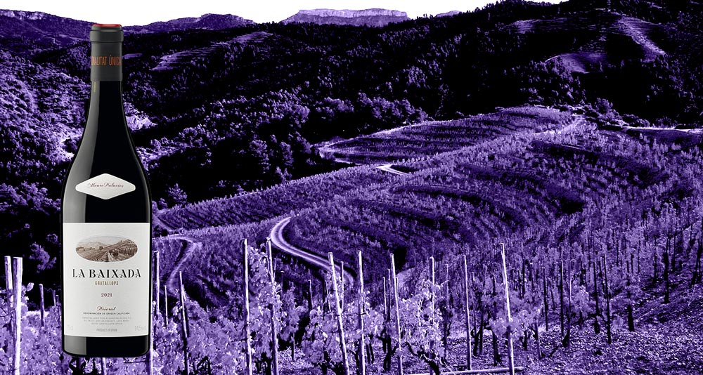 Vino-La-Baixada