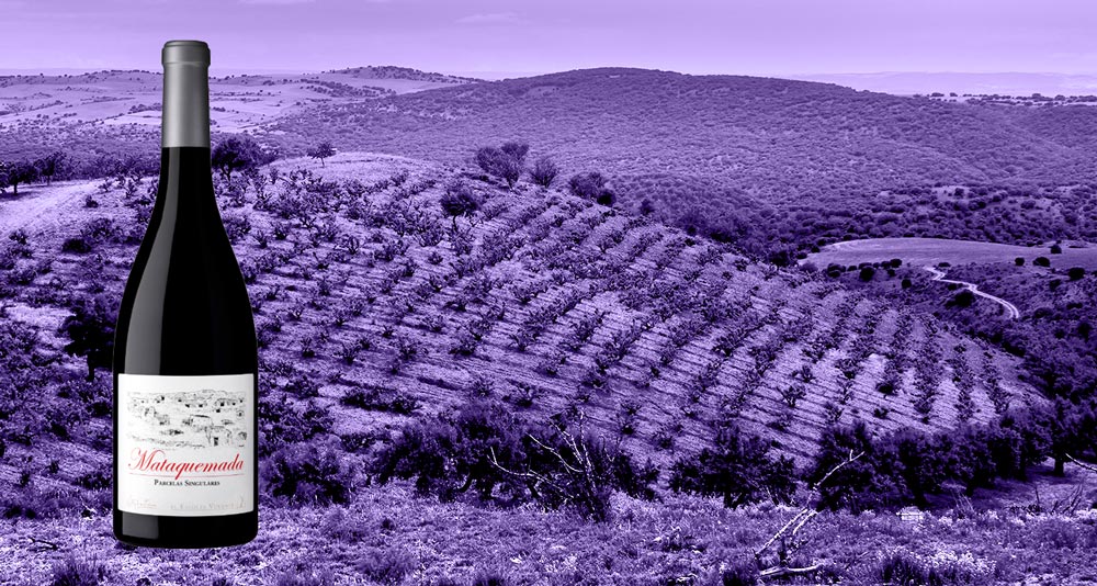 Vino Mataquemada