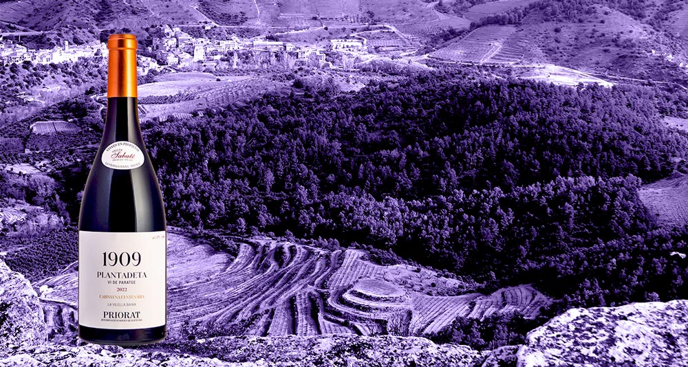 Vino-La-Plantadeta