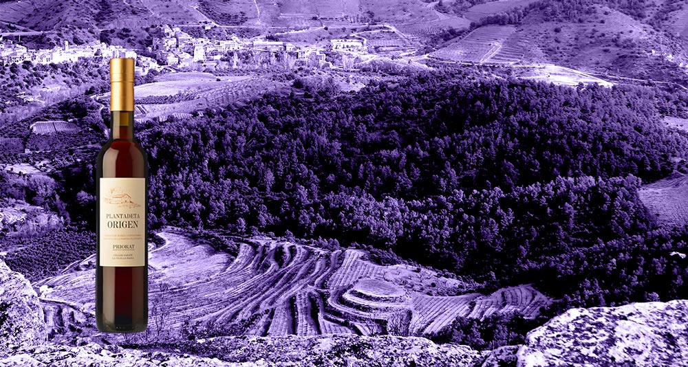 Vino-La-Plantadeta-Ranci