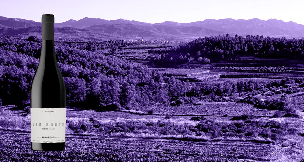 Vino-Les-Sorts