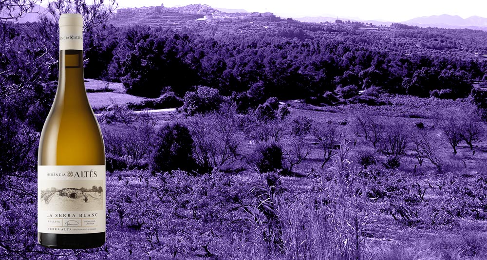 Vino-La-Serra-Blanc