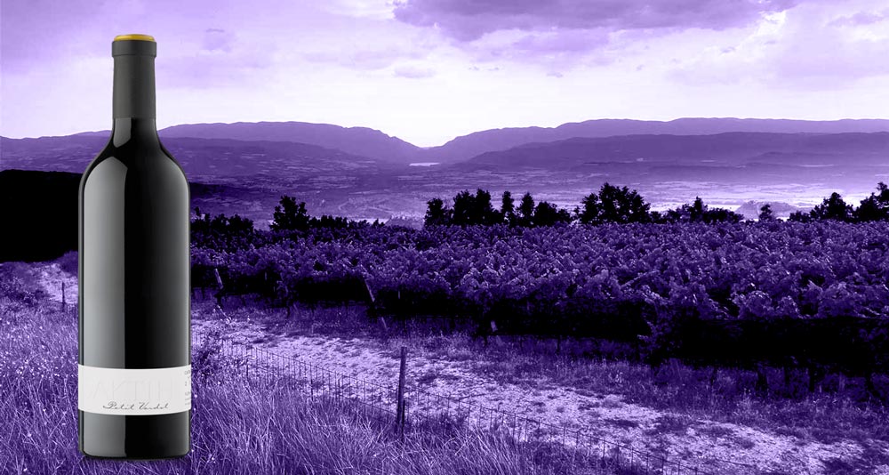 Vino-saktih