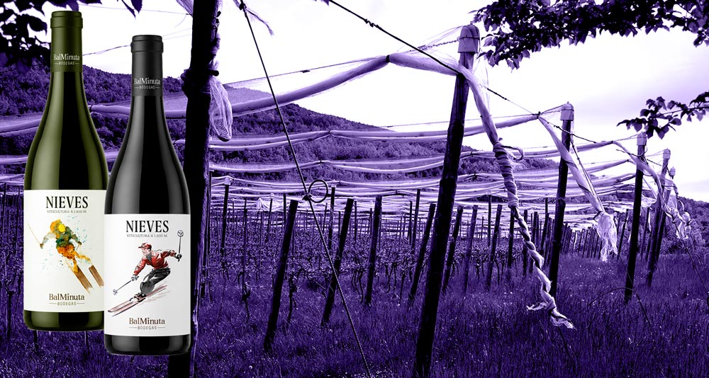 Vinos-BalMinutas