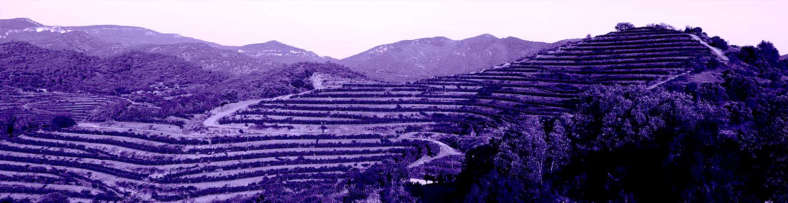 Aragon Catalunya 1