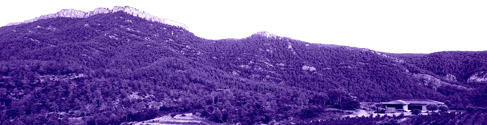 Aragon-Catalunya 4