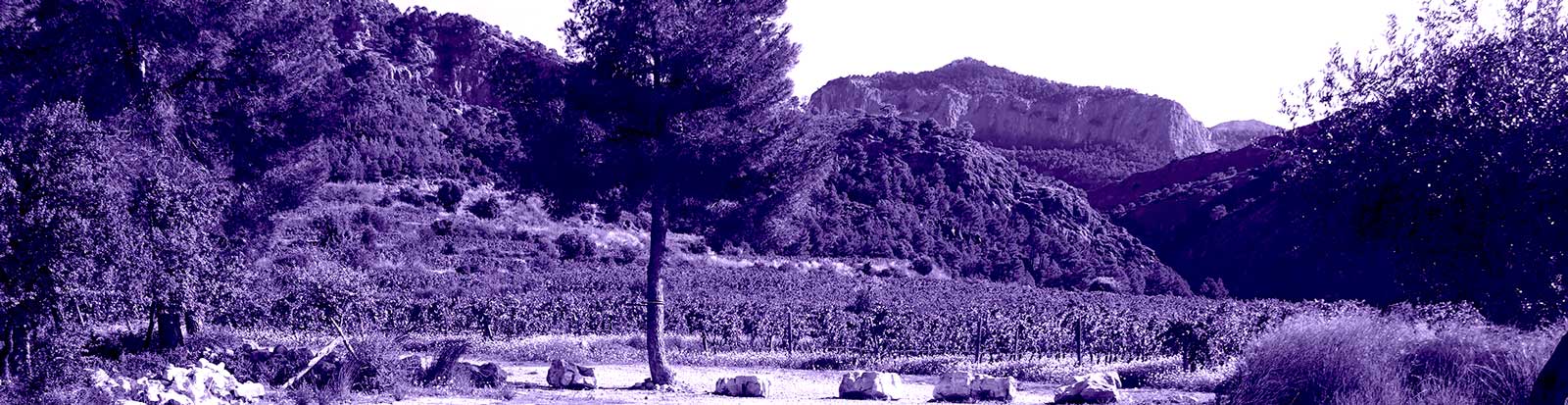 Aragon-Catalunya 5