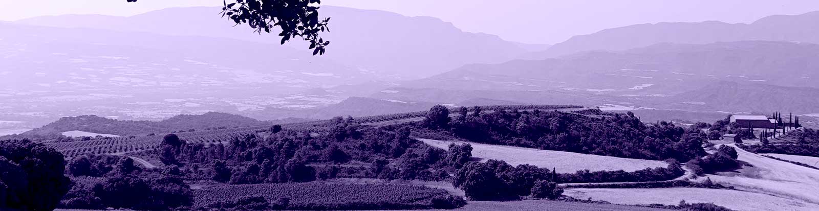 Aragon-Catalunya 6