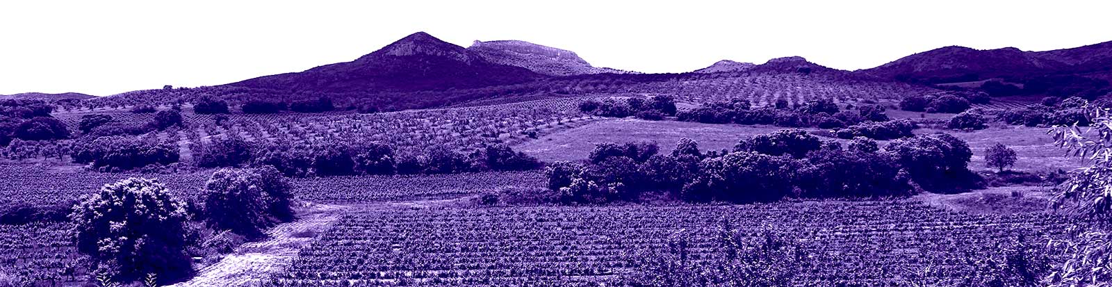 Aragon-Catalunya 9