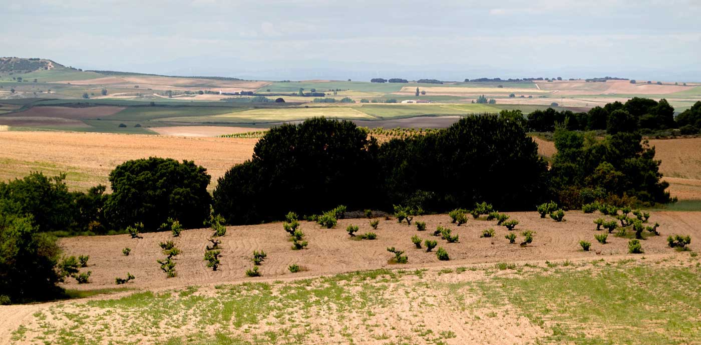 Terroir-
