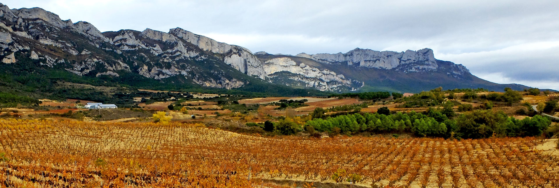 Sierra de Cantabria y Bodega Macán