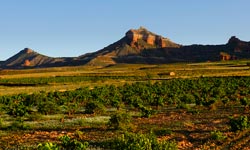 Calatayud-Armantes