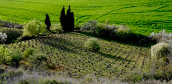 Terroir-Nekeas-Navarra